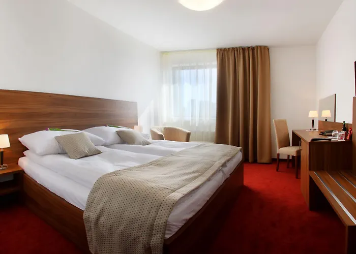 サフラン ブラチスラヴァ